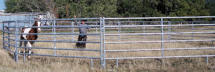 Cattleman's Gates